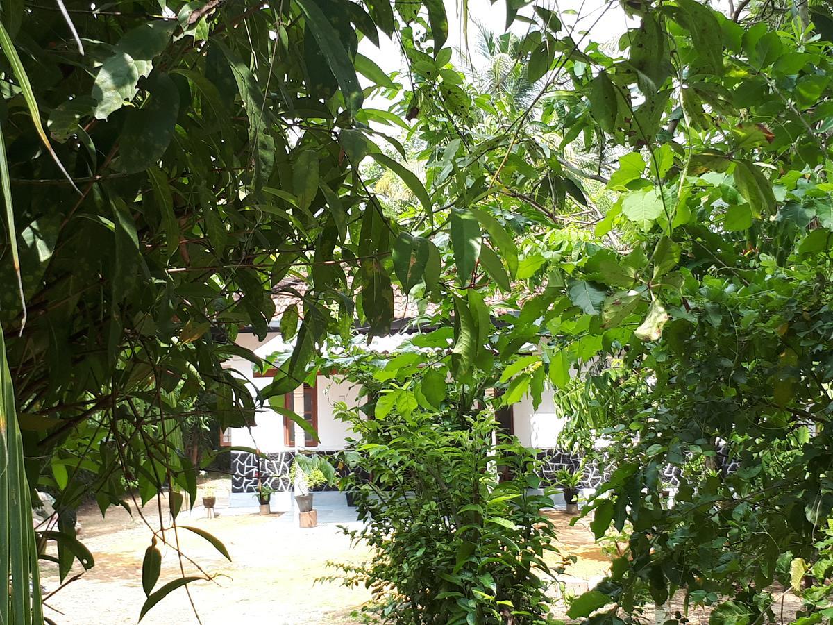 New Sam Tourist Inn Weligama Ngoại thất bức ảnh