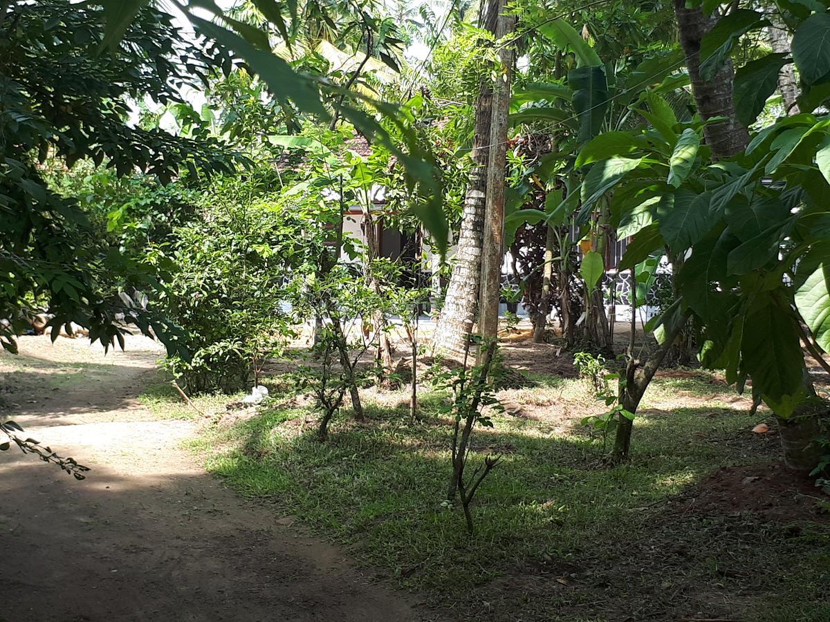 New Sam Tourist Inn Weligama Ngoại thất bức ảnh