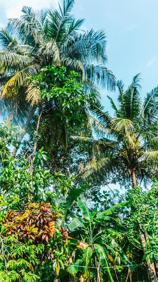 New Sam Tourist Inn Weligama Ngoại thất bức ảnh
